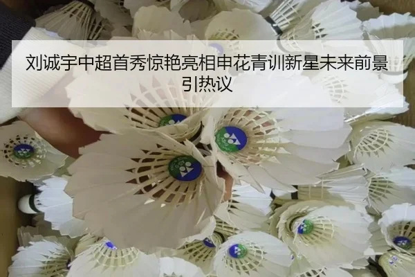 刘诚宇中超首秀惊艳亮相申花青训新星未来前景引热议